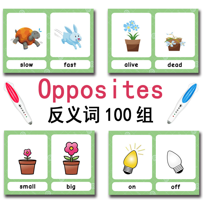 بطاقات تعليمية للأطفال تحتوي ع - مراجعة Kids Education Age وسعره