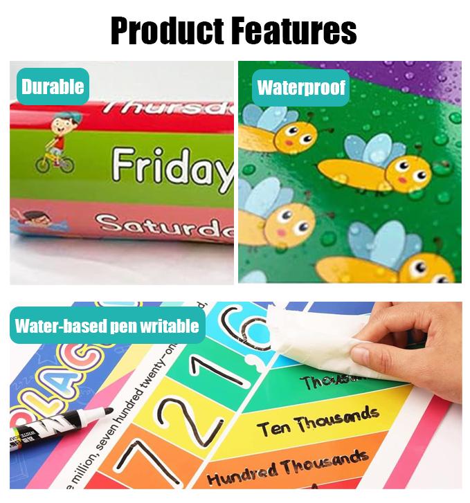16 قطعة من الملصقات التعليمية  - مراجعة Kids Educational Posters وسعره